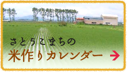 米づくりカレンダー